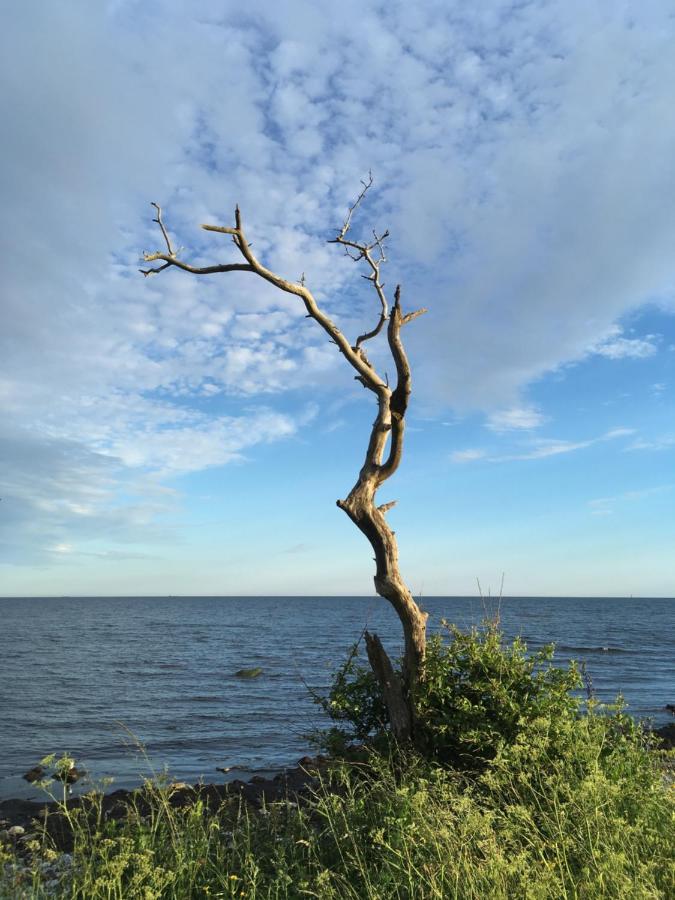 Rum Pa Landet Klagstorp Buitenkant foto